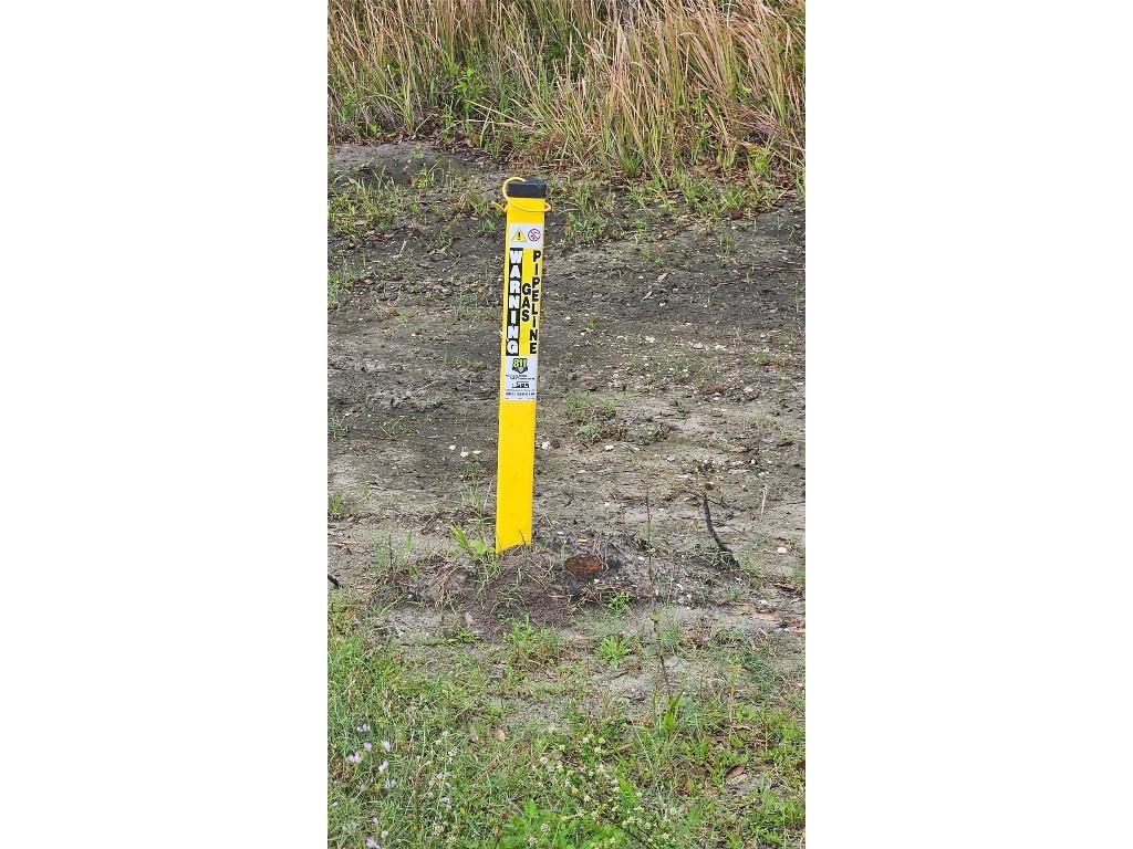 1298 Old Bradenton Road Wauchula FL 33873 T3510287 image12