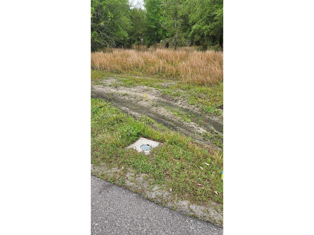 1298 Old Bradenton Road Wauchula FL 33873 T3510287 image13