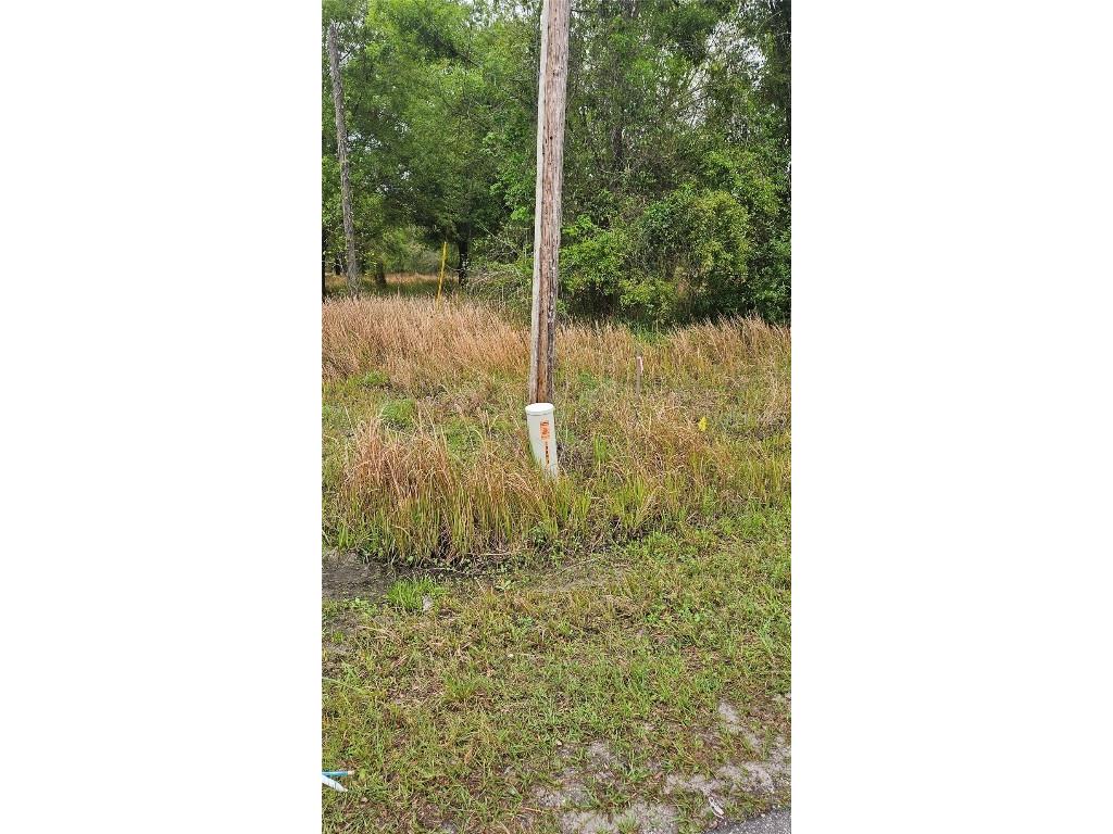 1298 Old Bradenton Road Wauchula FL 33873 T3510287 image15