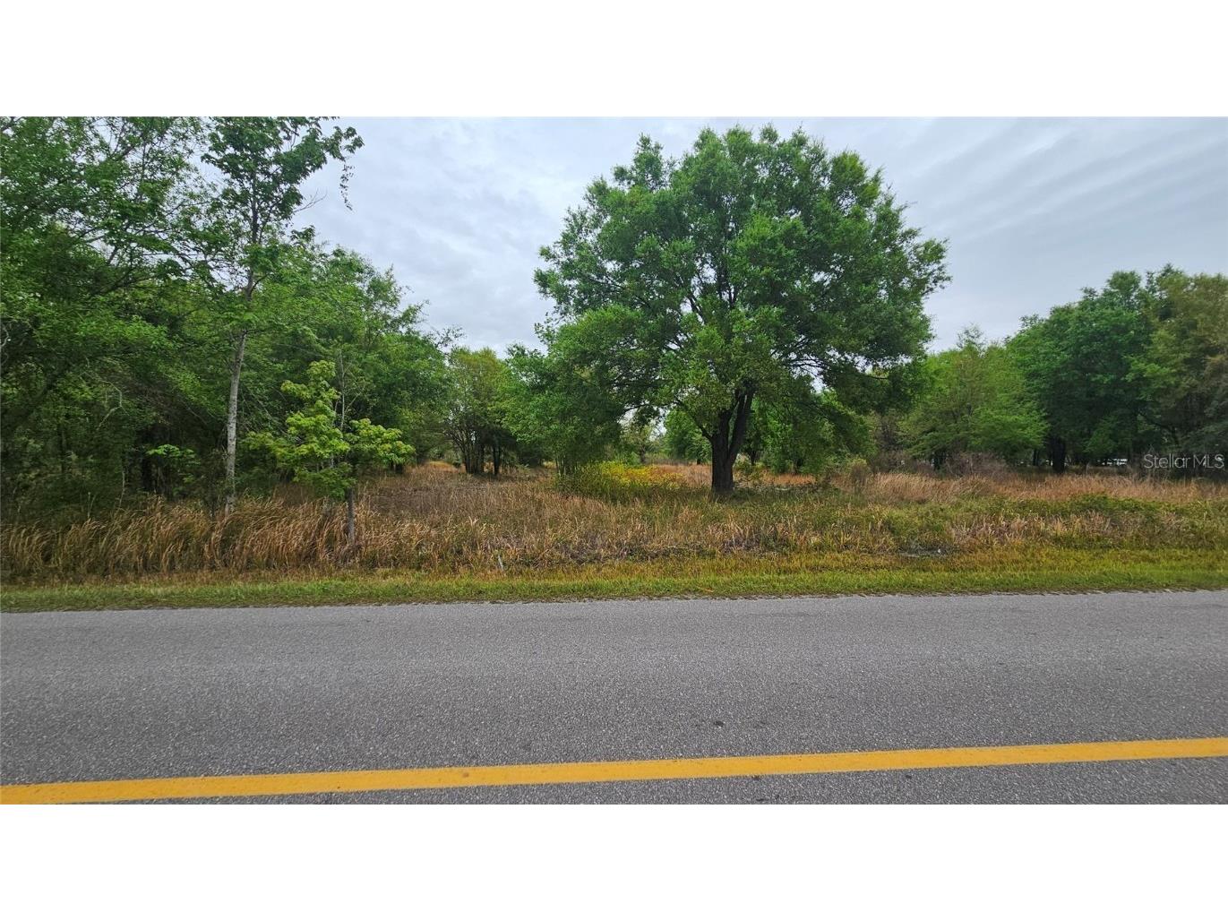 1298 Old Bradenton Road Wauchula FL 33873 T3510287 image3