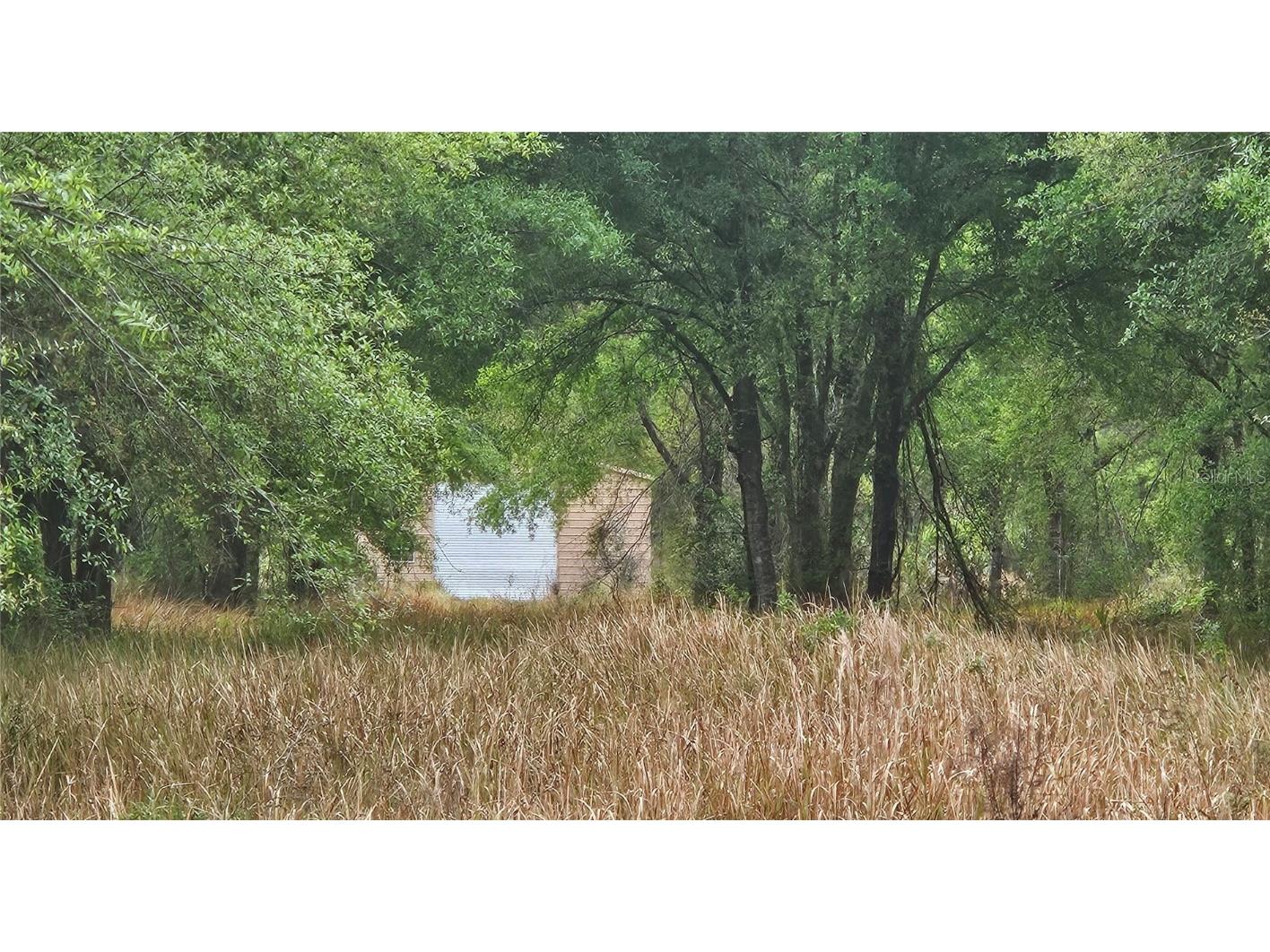 1298 Old Bradenton Road Wauchula FL 33873 T3510287 image5