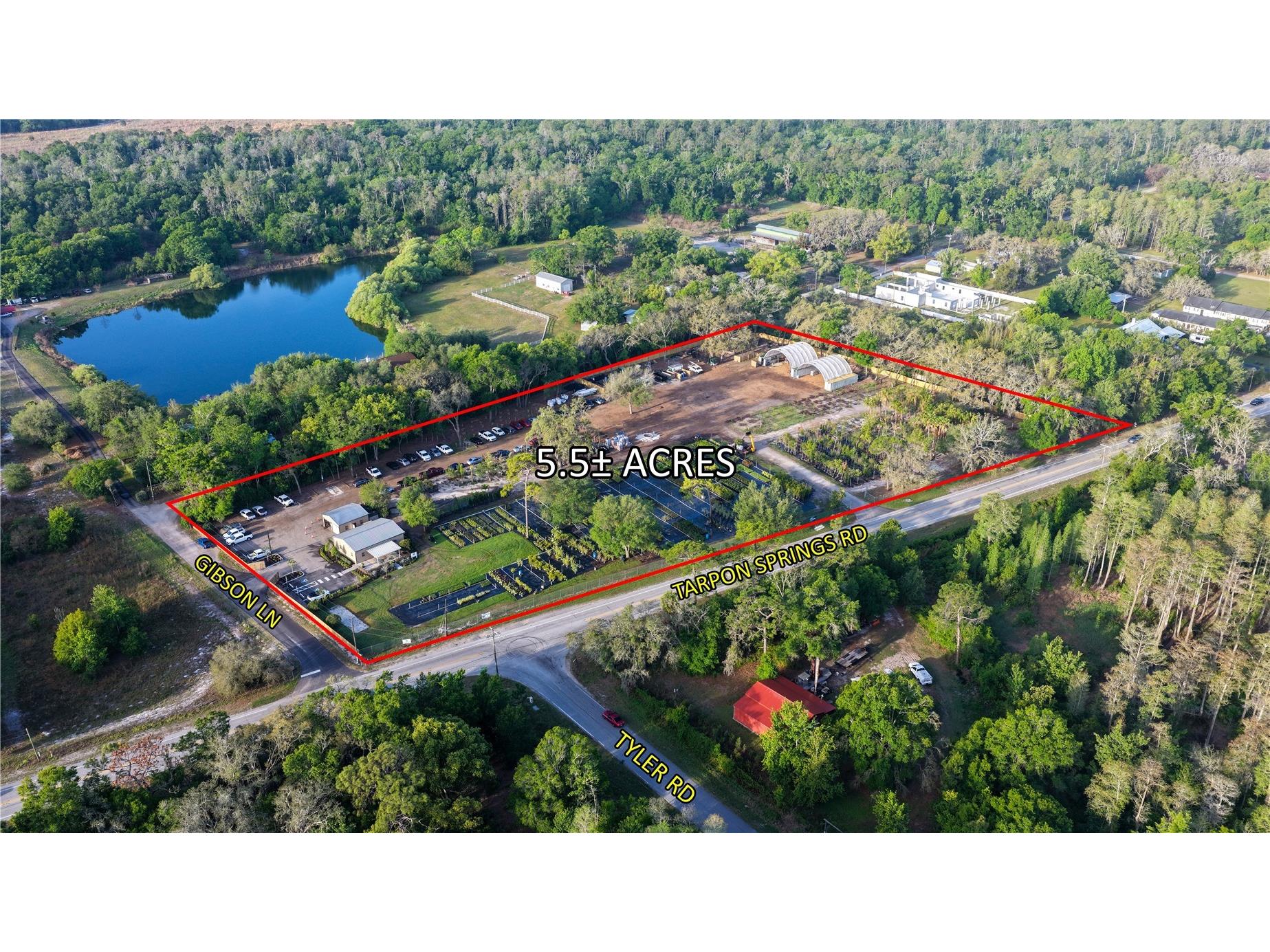 12980 Tarpon Springs Road Odessa FL 33556 TB8506003 image1