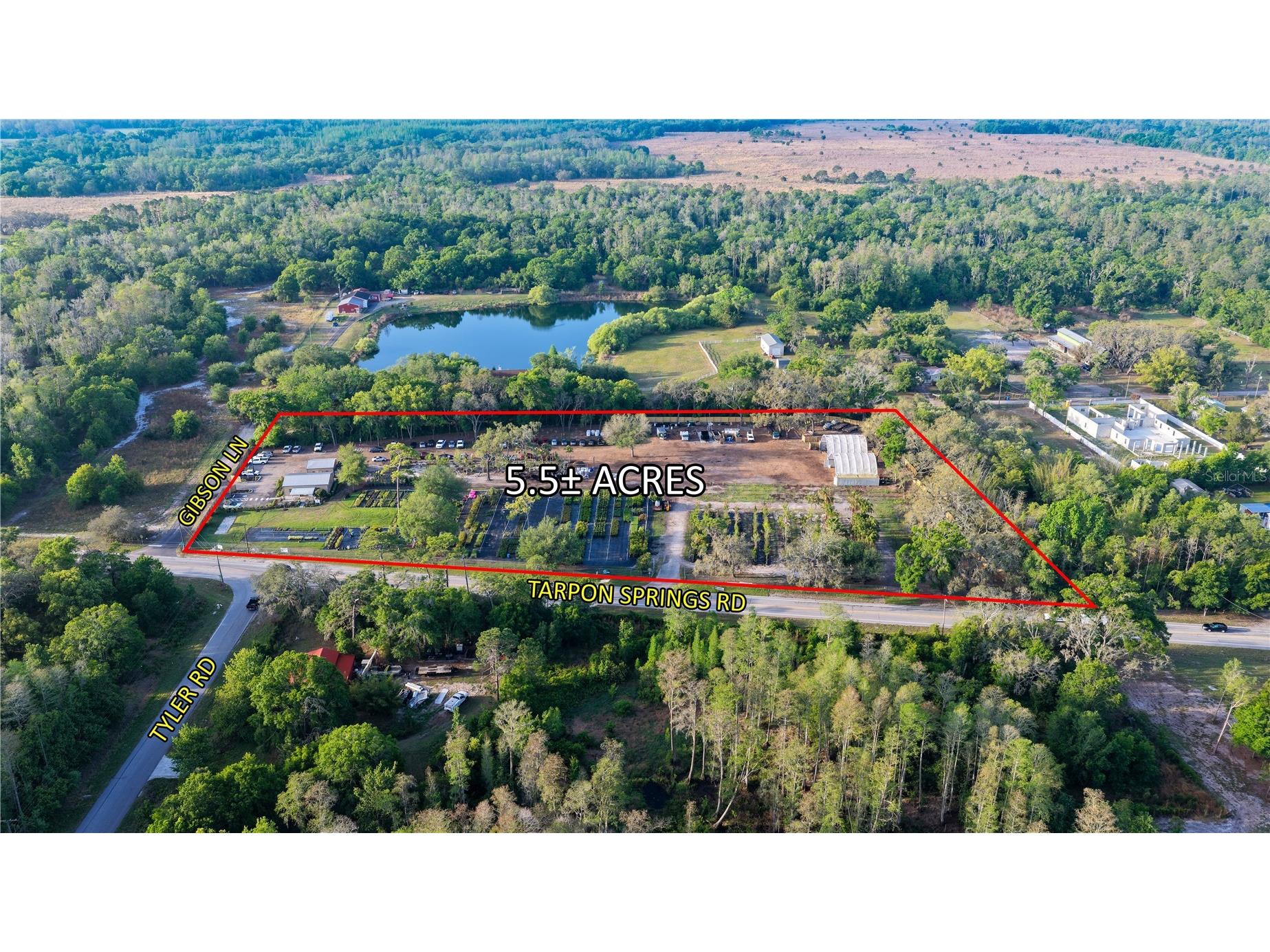 12980 Tarpon Springs Road Odessa FL 33556 TB8506003 image2