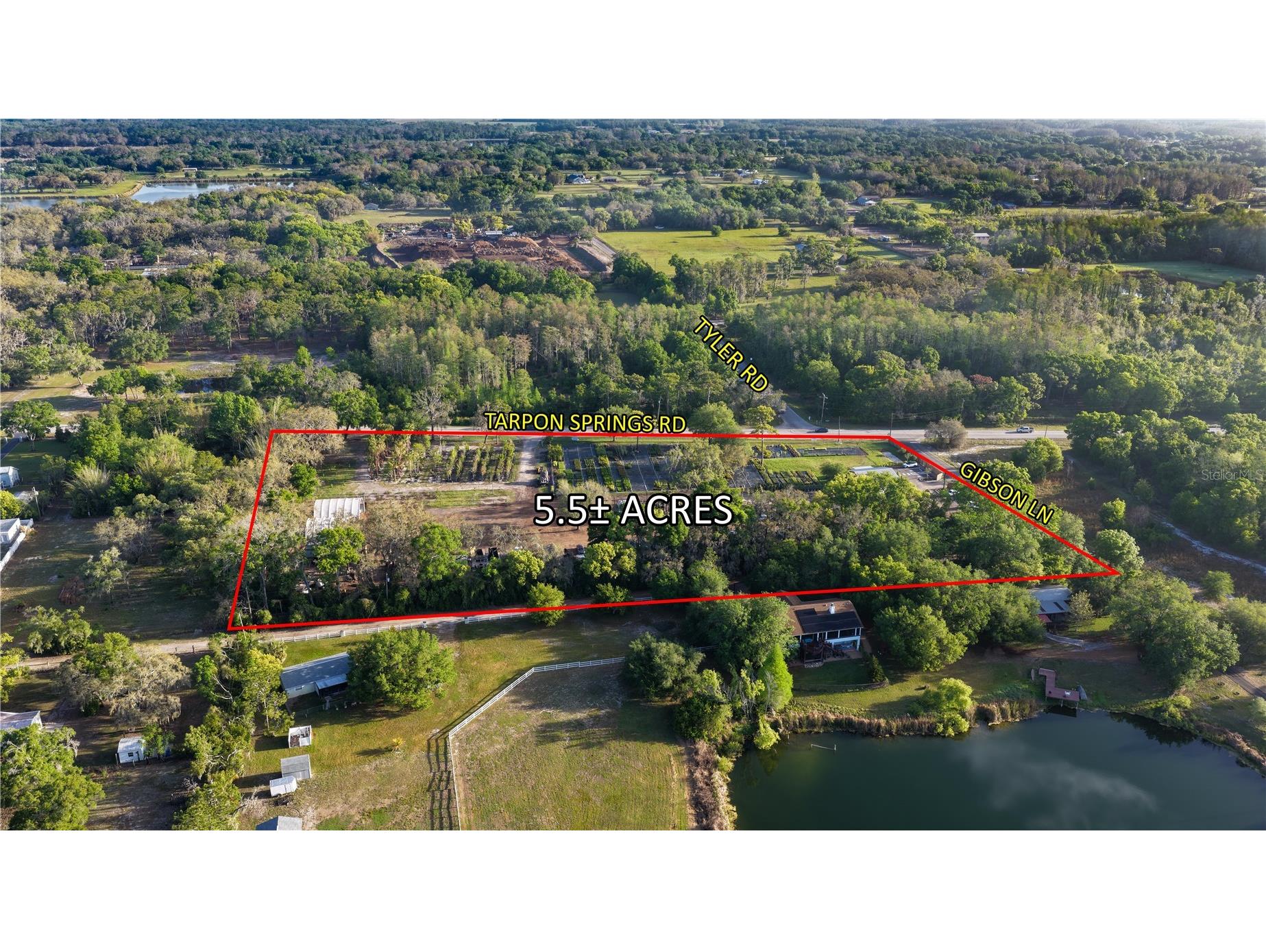 12980 Tarpon Springs Road Odessa FL 33556 TB8506003 image3