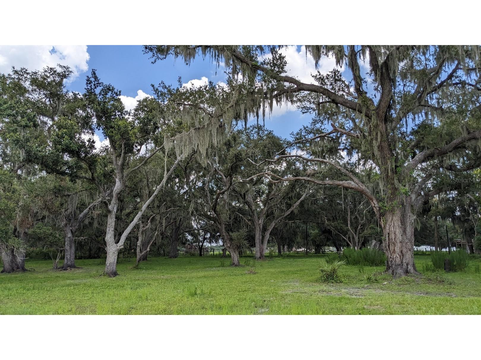 12980 and 12990 River Road Myakka City FL 34251 A4685286 image10