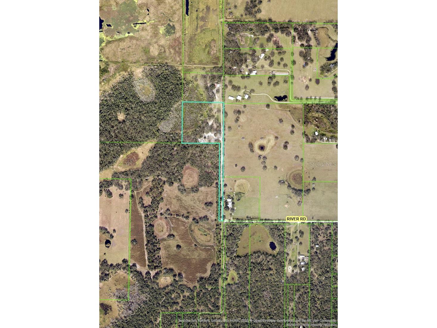 12980 and 12990 River Road Myakka City FL 34251 A4685286 image2