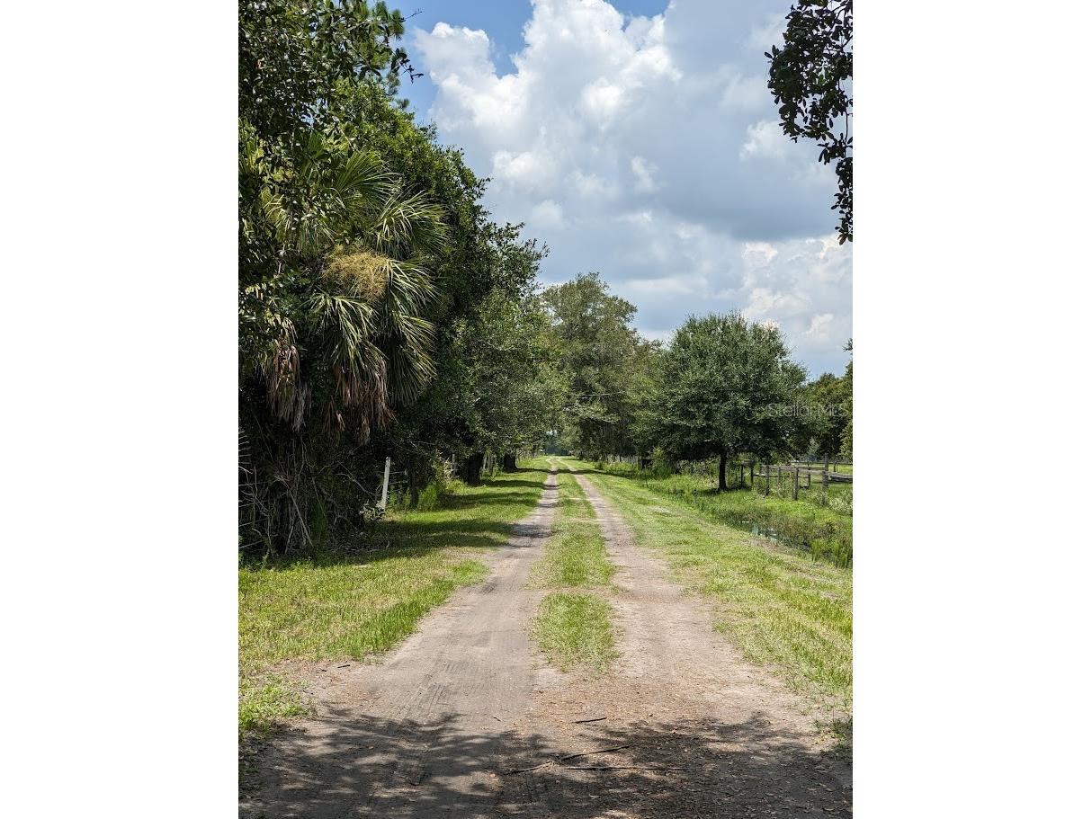 12980 and 12990 River Road Myakka City FL 34251 A4685286 image4