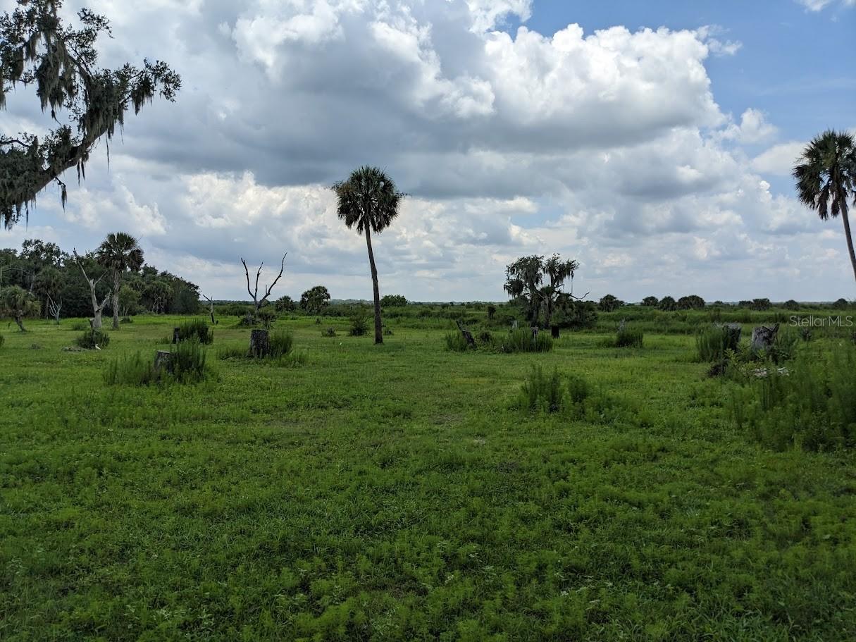 12980 and 12990 River Road Myakka City FL 34251 A4685286 image9