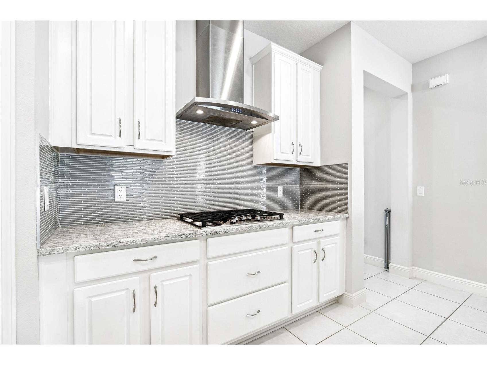 12981 Burns Drive Odessa FL 33556 TB8457622 image14