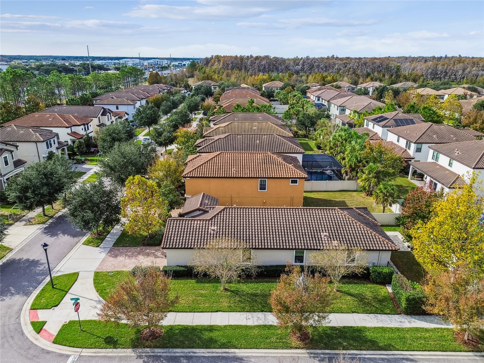 12981 Burns Drive Odessa FL 33556 TB8457622 image40