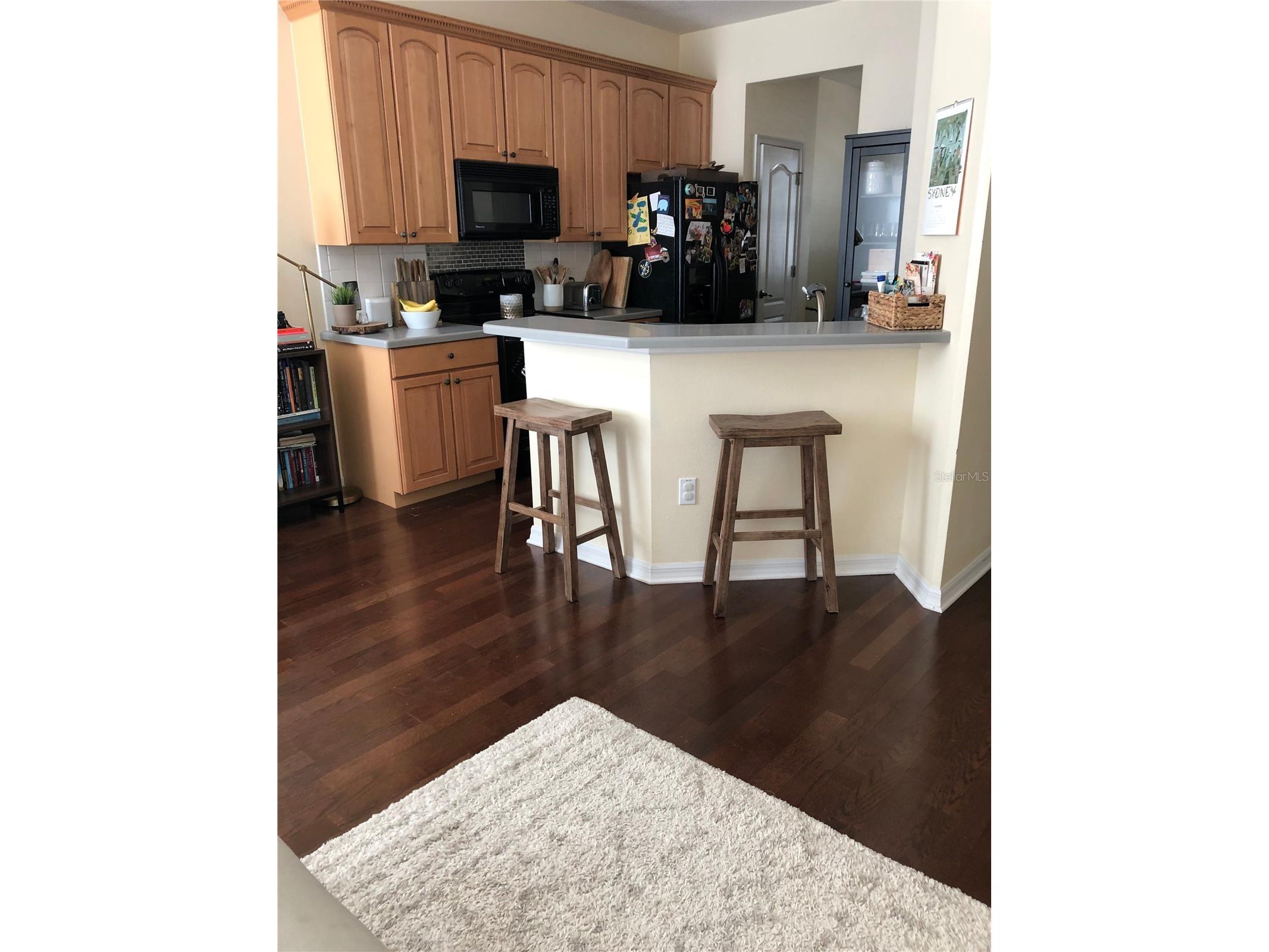 12982 Kegan Street Windermere FL 34786 S5150794 image4