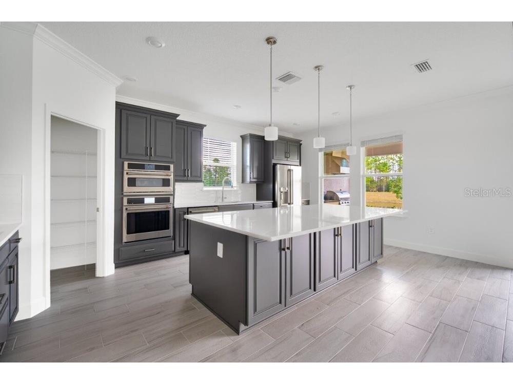 12983 Harvest Rain Avenue Winter Garden FL 34787 O6397592 image3