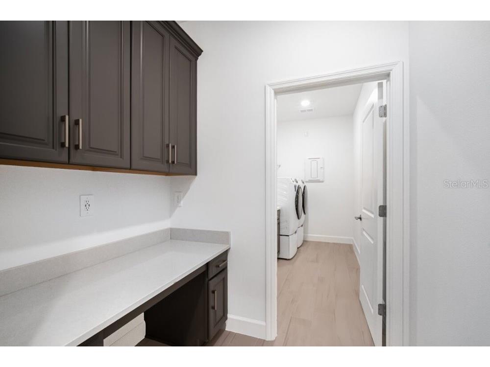 12983 Harvest Rain Avenue Winter Garden FL 34787 O6397592 image37