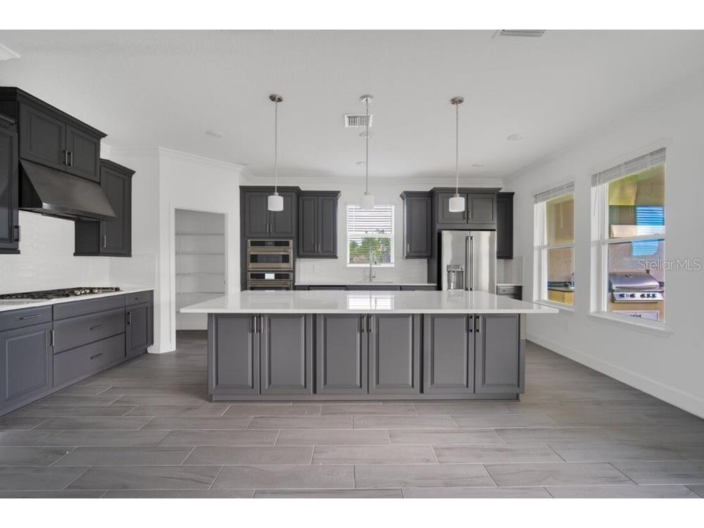 12983 Harvest Rain Avenue Winter Garden FL 34787 O6397592 image4