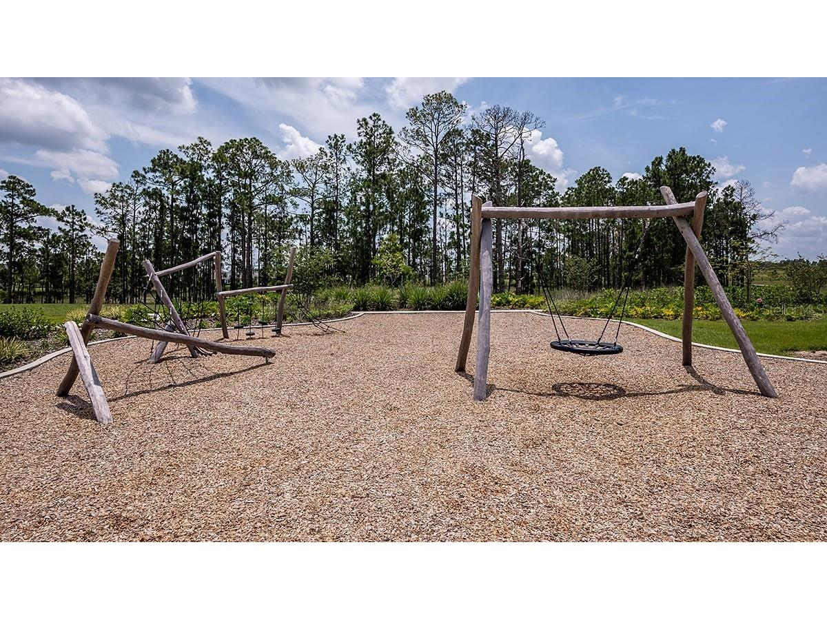 12983 Harvest Rain Avenue Winter Garden FL 34787 O6397592 image50