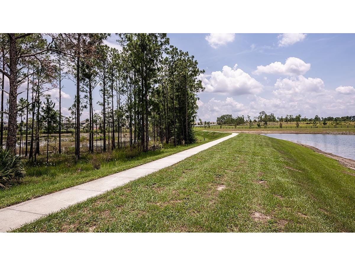 12983 Harvest Rain Avenue Winter Garden FL 34787 O6397592 image51