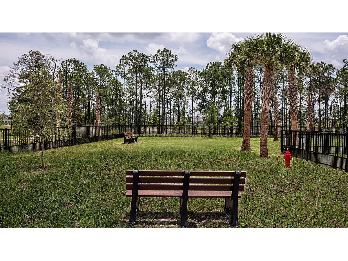 12983 Harvest Rain Avenue Winter Garden FL 34787 O6397592 image53