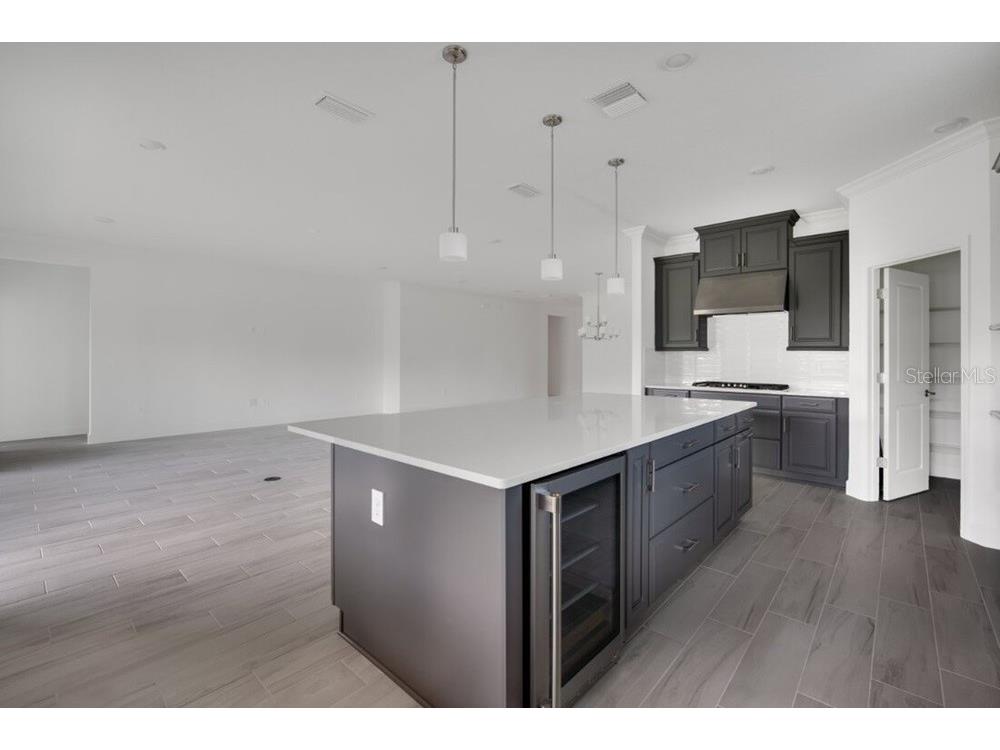 12983 Harvest Rain Avenue Winter Garden FL 34787 O6397592 image6