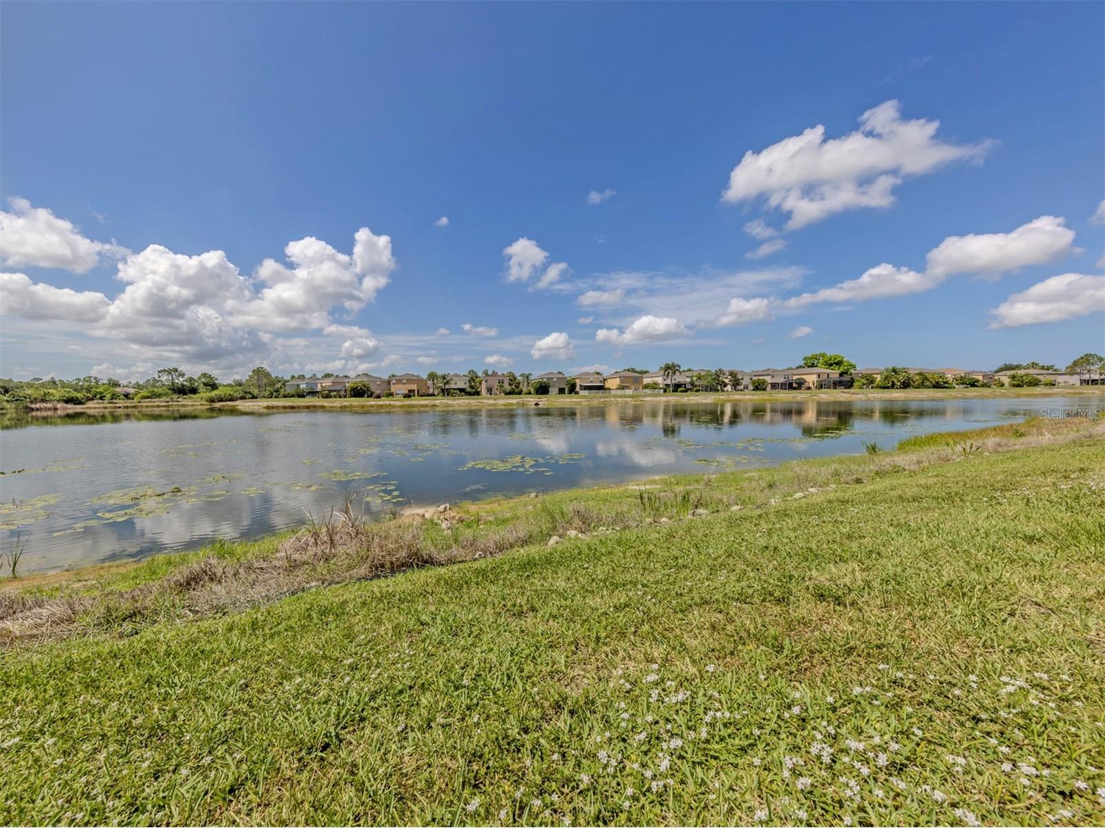 12983 Tigers Eye Drive Venice FL 34292 N6144681 image6