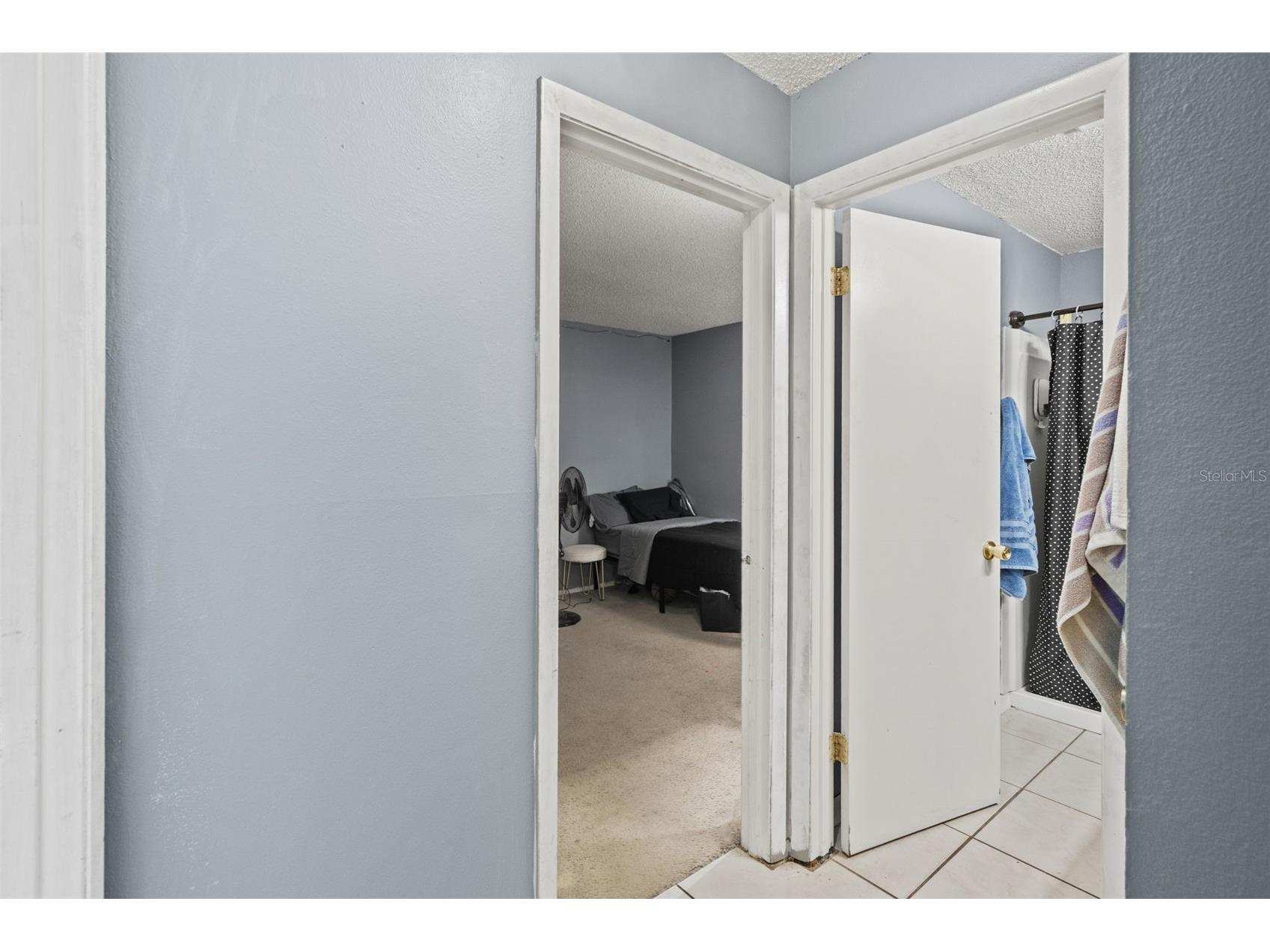 12989 Linden Drive Spring Hill FL 34609 W7884534 image20