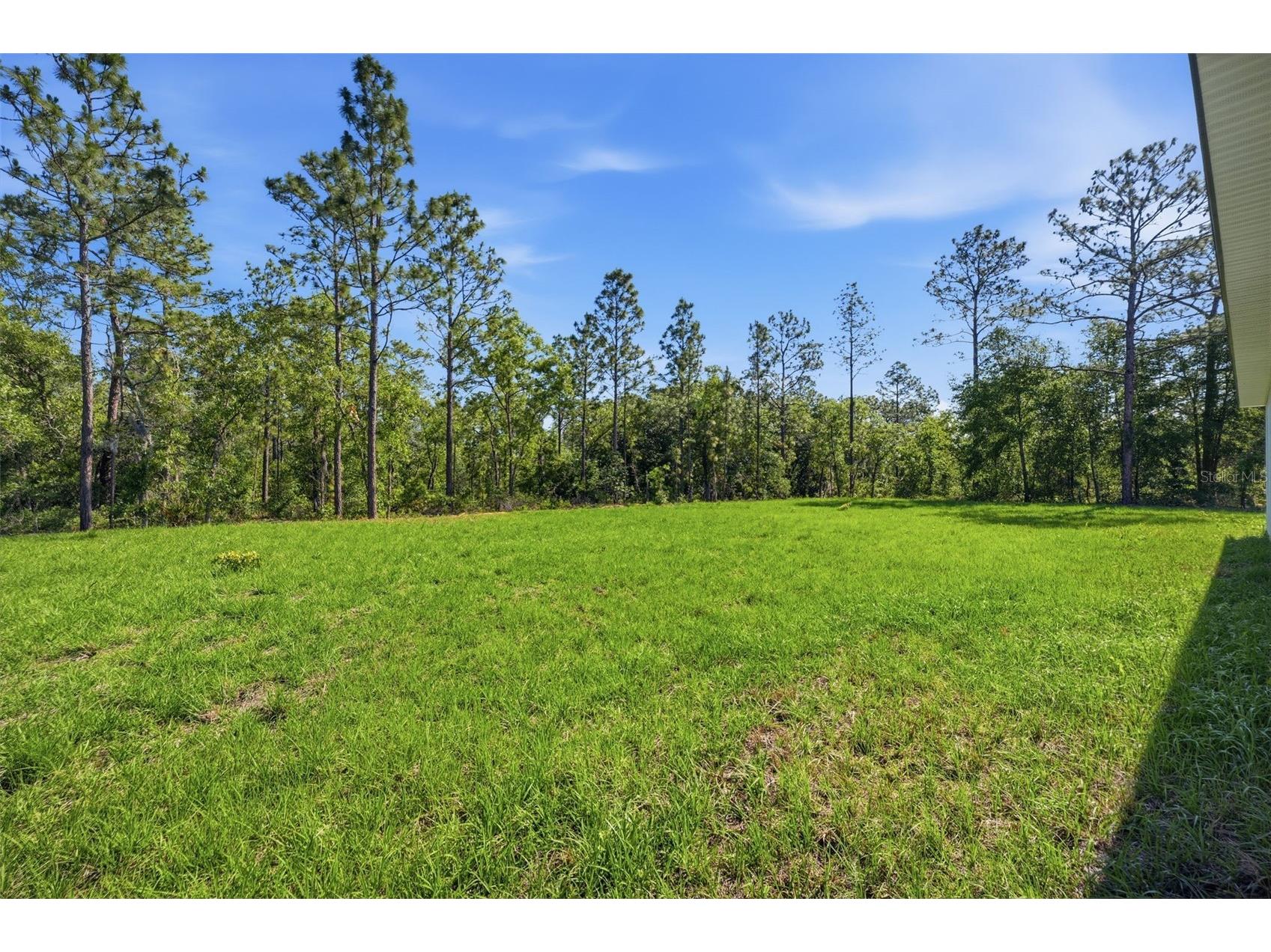 12989 SW 64th Lane Ocala FL 34481 O6408797 image39