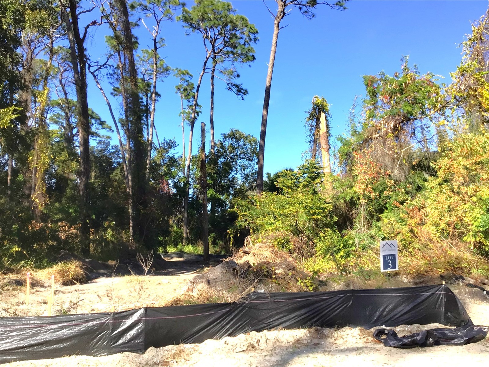 1299 Almaria Court Palm Harbor FL 34683 U8238018 image1