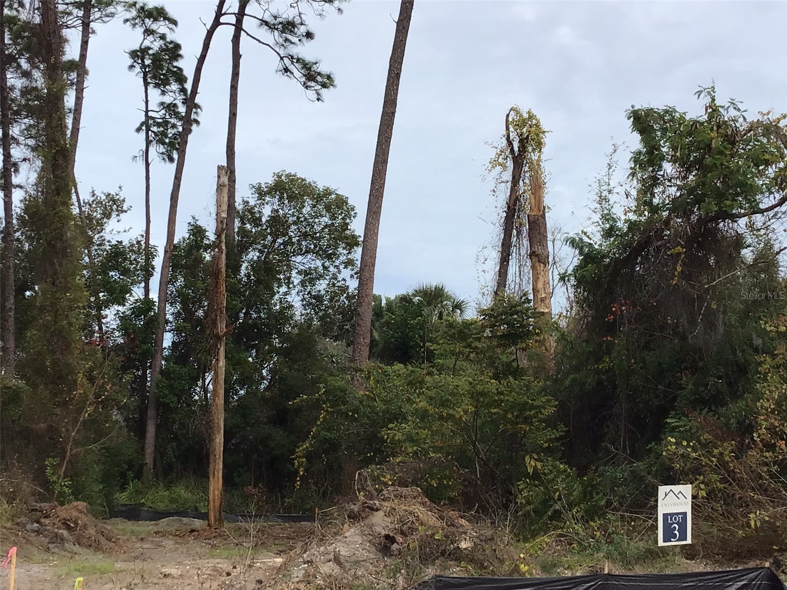 1299 Almaria Court Palm Harbor FL 34683 U8238018 image3