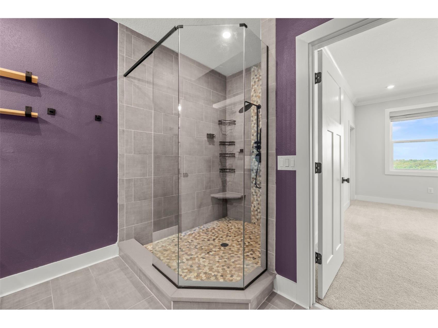 1299 Savona Drive NE Saint Petersburg FL 33702 TB8479314 image33