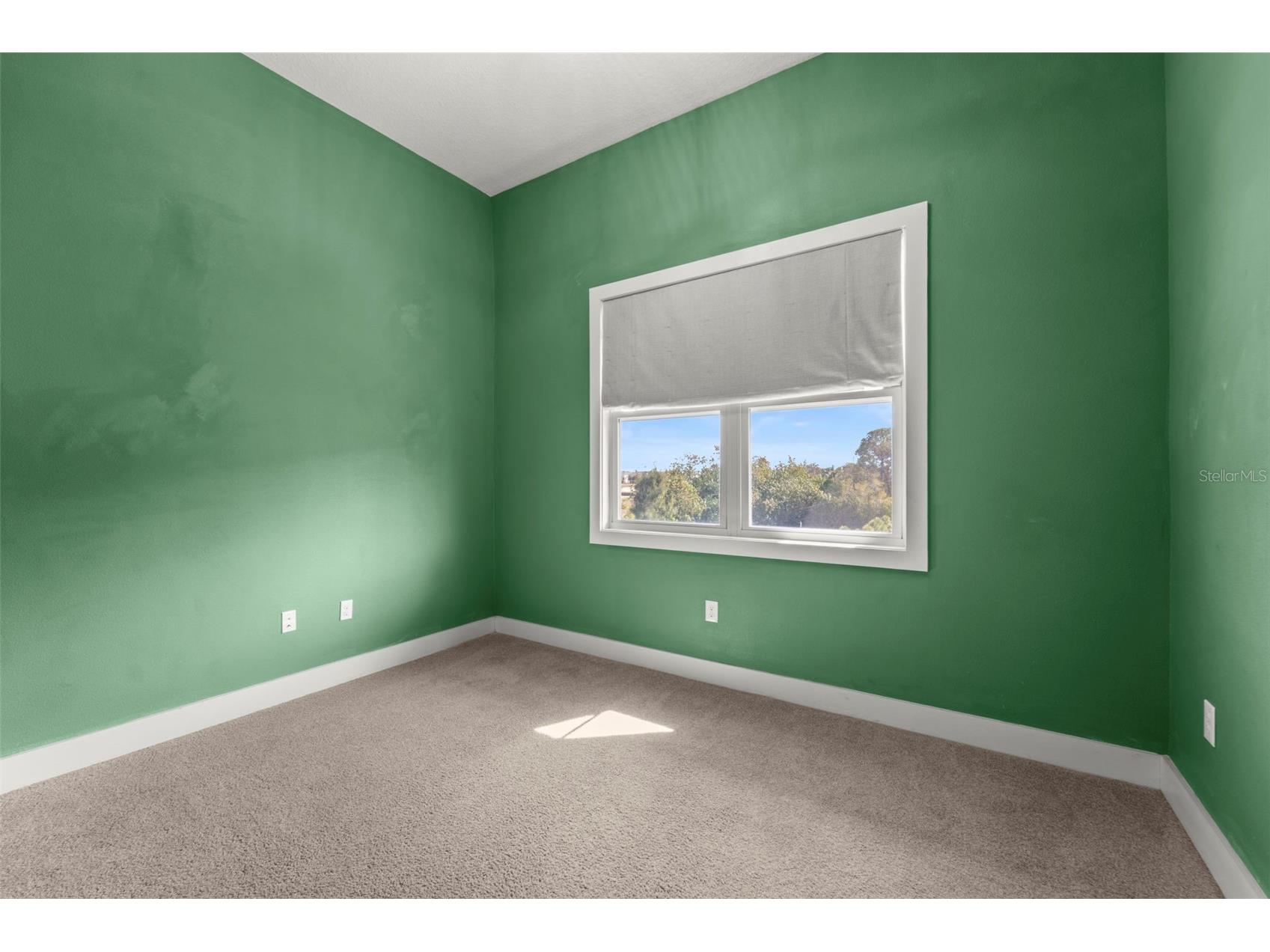 1299 Savona Drive NE Saint Petersburg FL 33702 TB8479314 image46