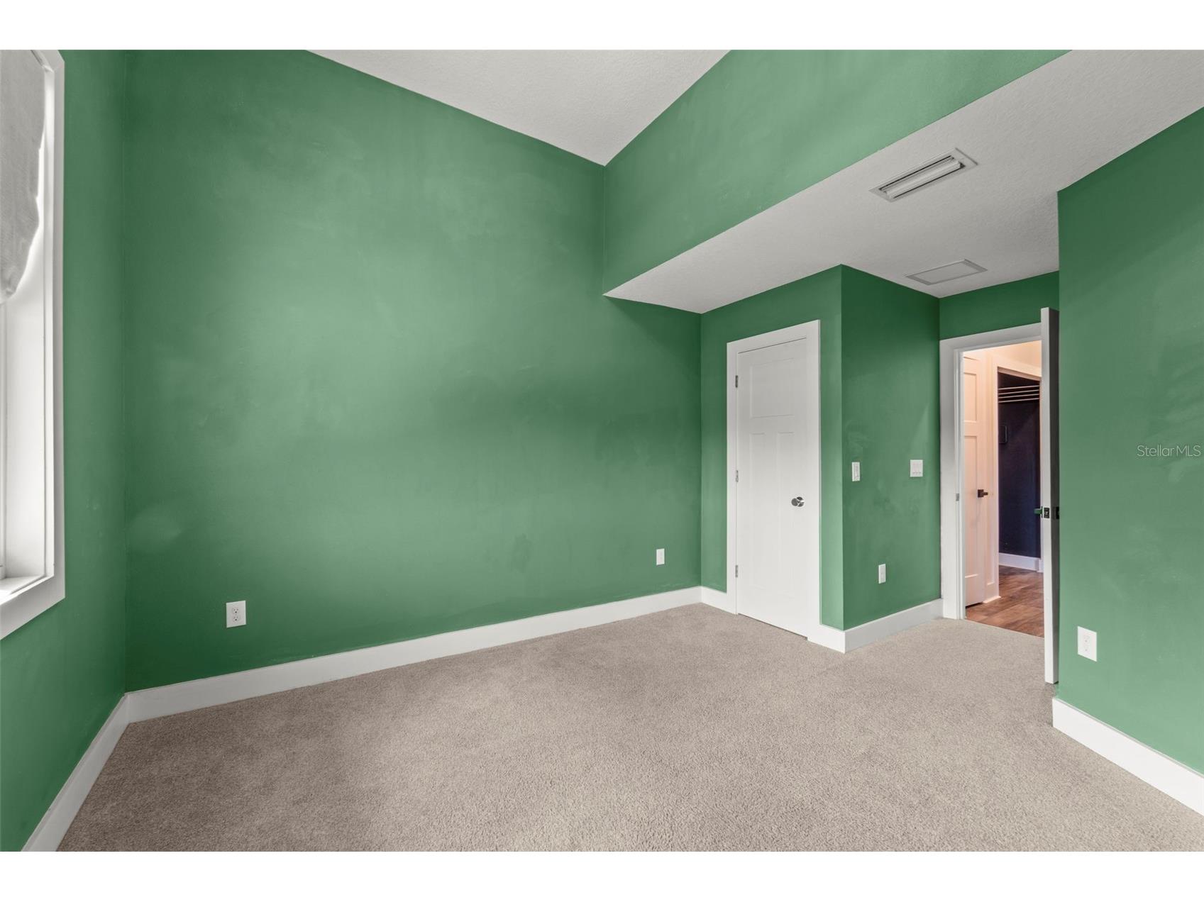 1299 Savona Drive NE Saint Petersburg FL 33702 TB8479314 image51