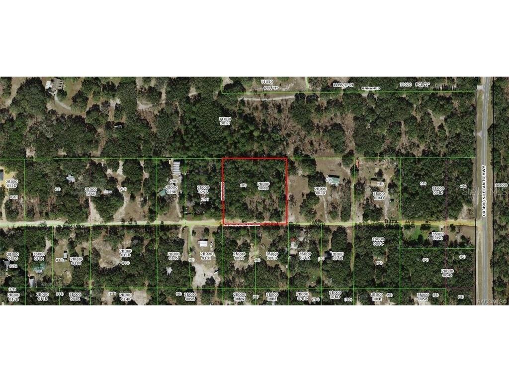 1299 W Brandywine Street Lecanto FL 34461 T3542953 image1