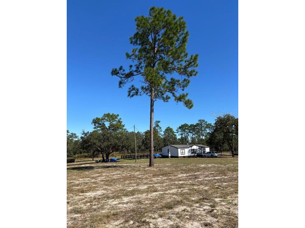 12991 SE 77th Street Morriston FL 32668 O6357441 image39