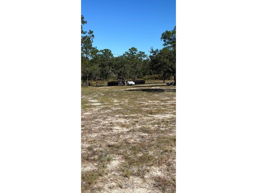 12991 SE 77th Street Morriston FL 32668 O6357441 image43