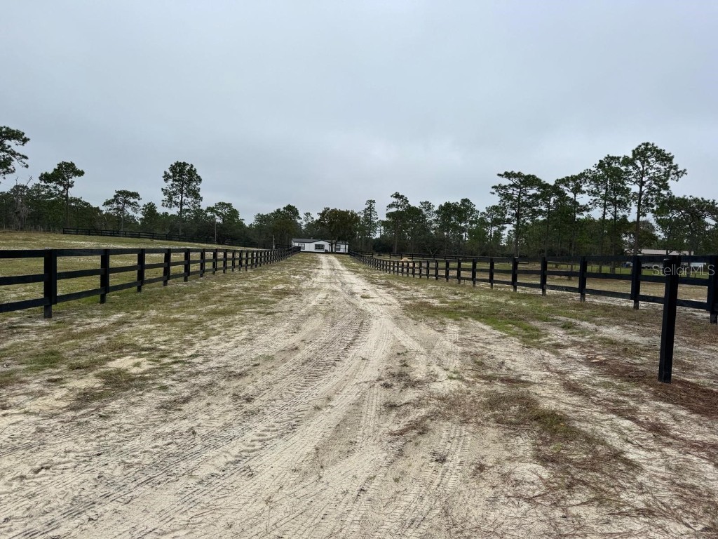 12991 SE 77th Street Morriston FL 32668 O6357441 image5