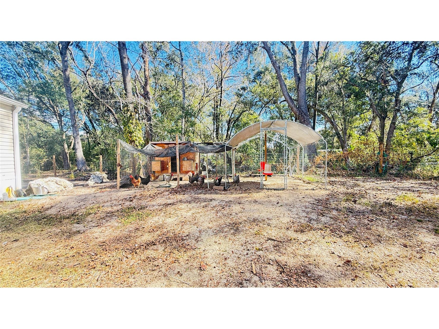 12992 SE 106th Court Belleview FL 34420 OM717253 image13