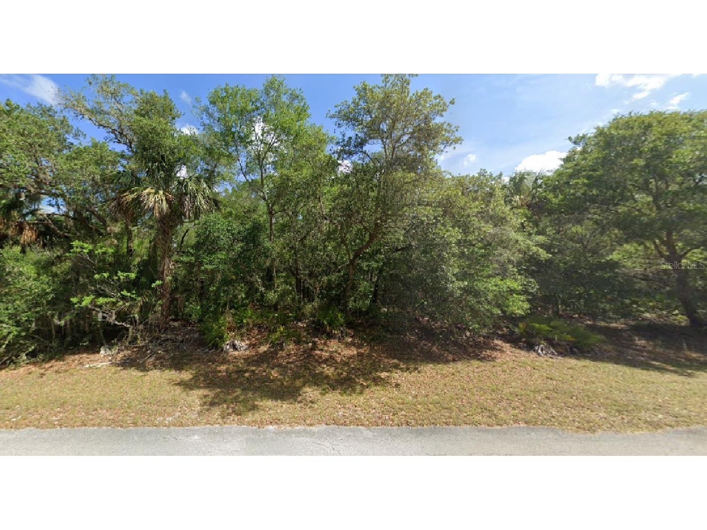 12997 W Baltic Ivy Street Crystal River FL 34428 O6153179 image1