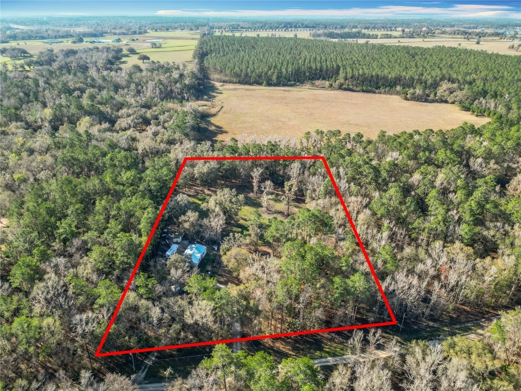 12998 NW 168th Place Reddick FL 32686 OM695734 image1