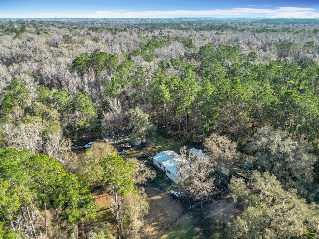 12998 NW 168th Place Reddick FL 32686 OM695734 image19