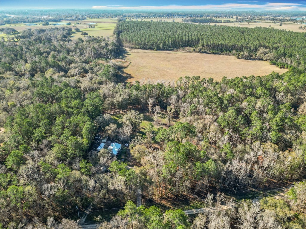 12998 NW 168th Place Reddick FL 32686 OM695734 image20