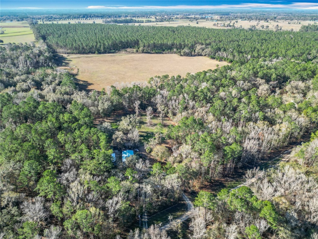 12998 NW 168th Place Reddick FL 32686 OM695734 image22