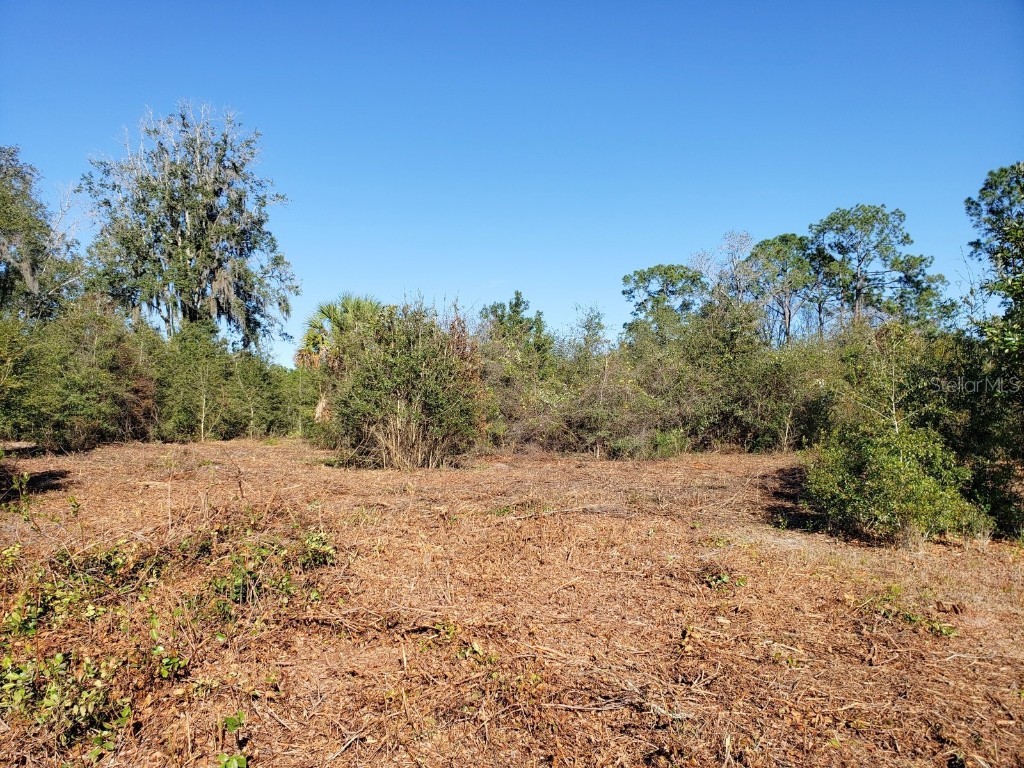 13.12ac NE Hwy 315 Fort Mc Coy FL 32134 - LAKE CLAIRE OM707817 image12