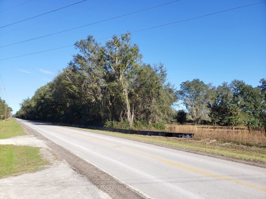 13.12ac NE Hwy 315 Fort Mc Coy FL 32134 - LAKE CLAIRE OM707817 image5