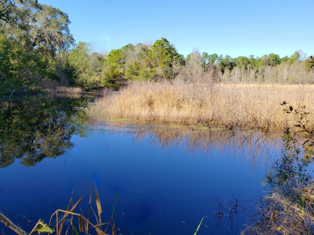 13.12ac NE Hwy 315 Fort Mc Coy FL 32134 - LAKE CLAIRE OM707817 image9