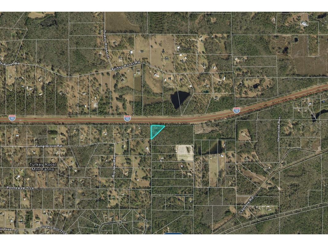 13-19-20-218-0000 Tung Grove Road Tallahassee FL 32317 A4693194 image2
