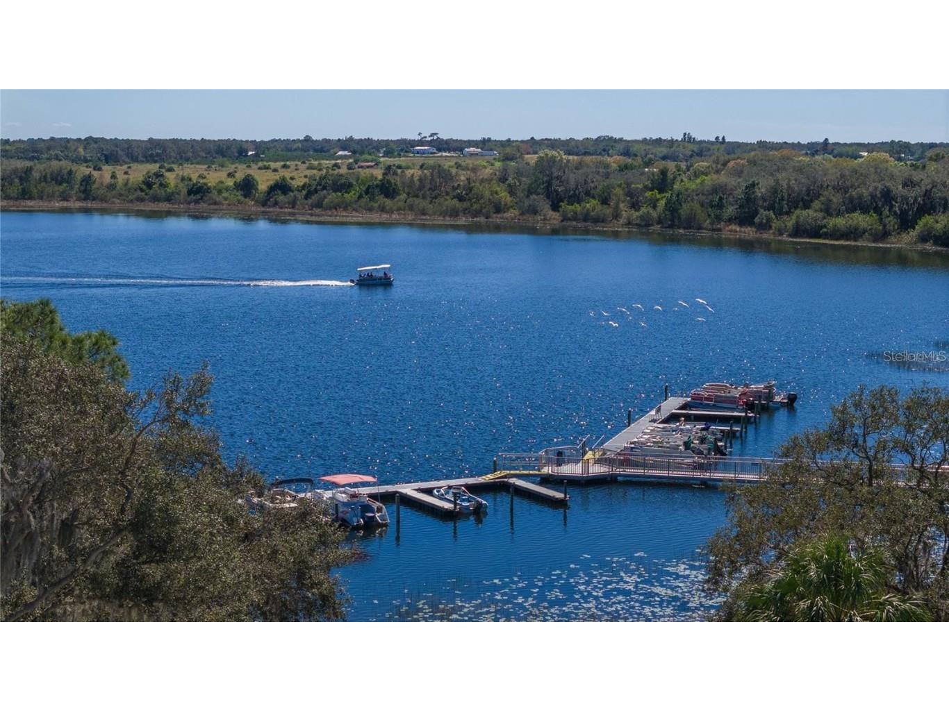 13 Blue Quill Circle Lake Wales FL 33898 L4956561 image49