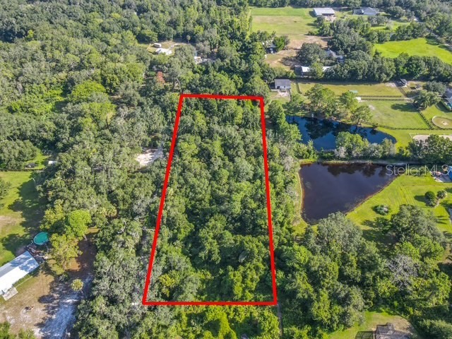 13 Bobcat Lane Osteen FL 32764 TB8414877 image1