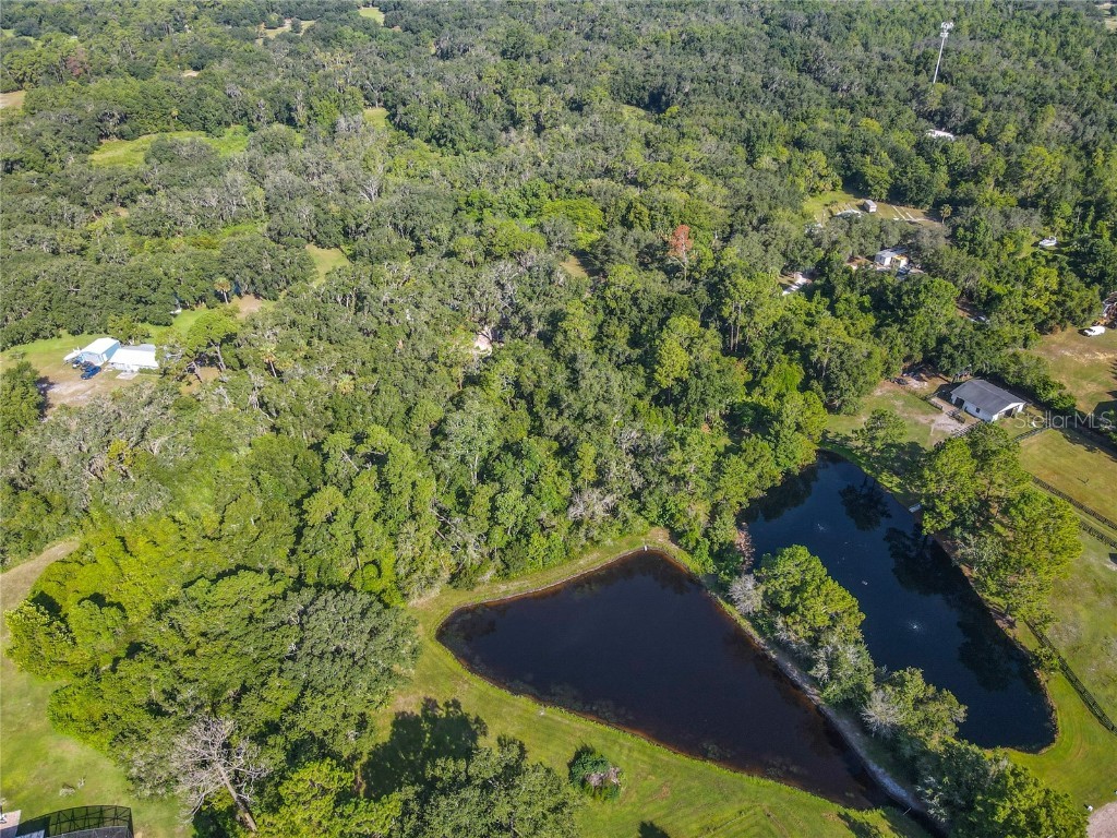 13 Bobcat Lane Osteen FL 32764 TB8414877 image10