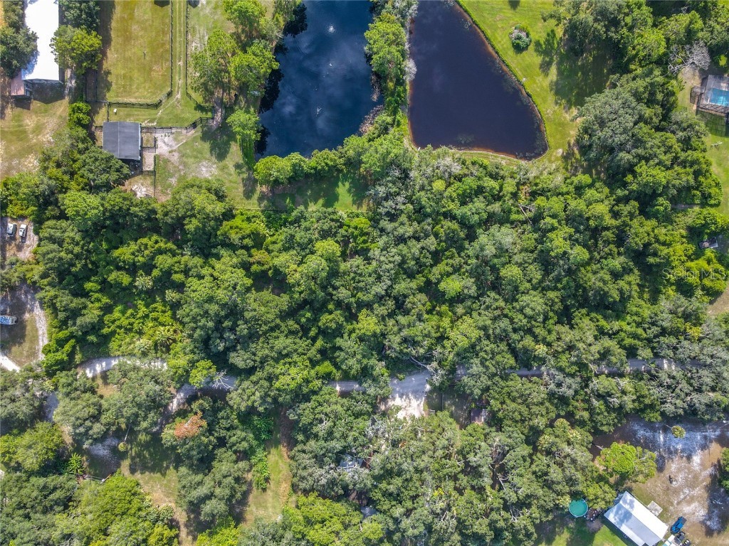 13 Bobcat Lane Osteen FL 32764 TB8414877 image11