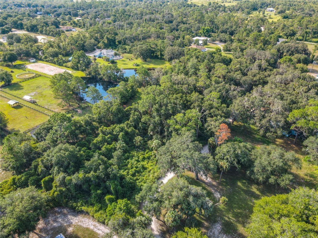 13 Bobcat Lane Osteen FL 32764 TB8414877 image14