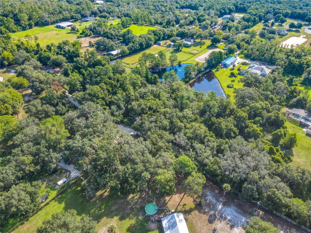 13 Bobcat Lane Osteen FL 32764 TB8414877 image16